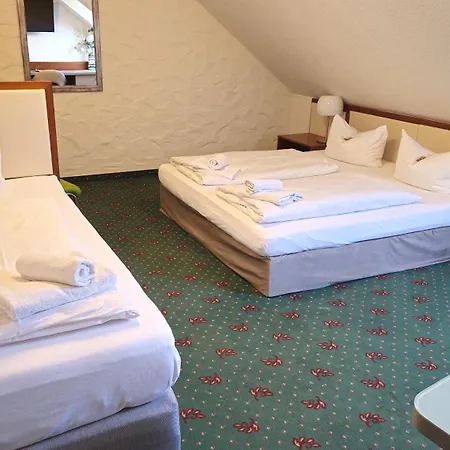 Hotel Avenue Altenfurt 3*