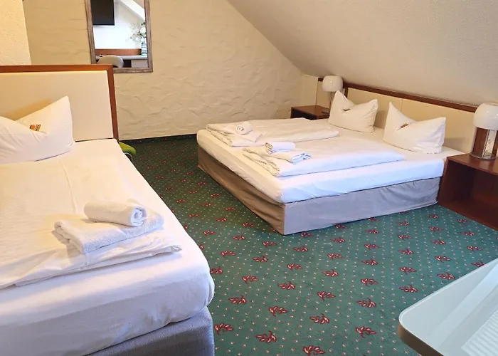 Hotel Avenue Altenfurt 3*