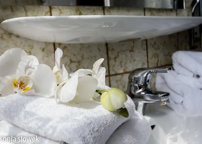 Hotel Avenue Altenfurt 3*